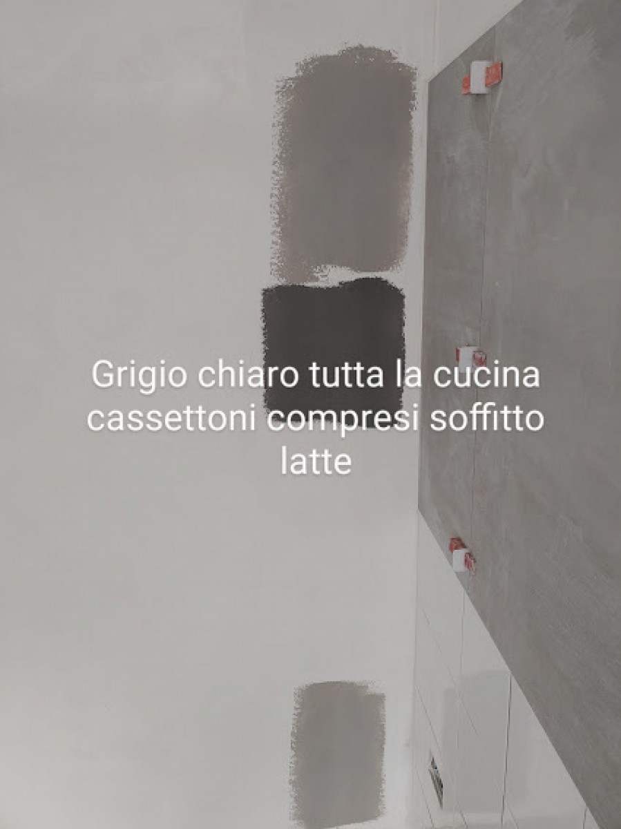 Foto galleria articolo numero 2