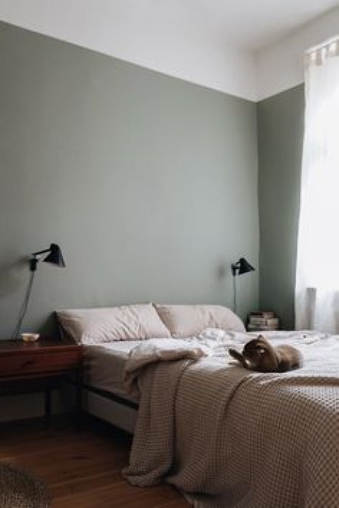 Foto galleria articolo numero 