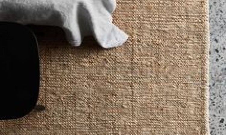 the carpet and your home
