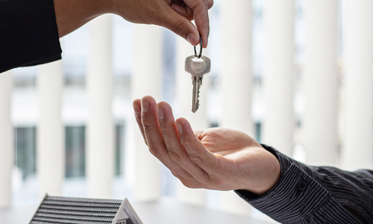 Un Mercato Immobiliare in Evoluzione: Segnali di Ripresa e Prezzi in Lieve Contrazione
